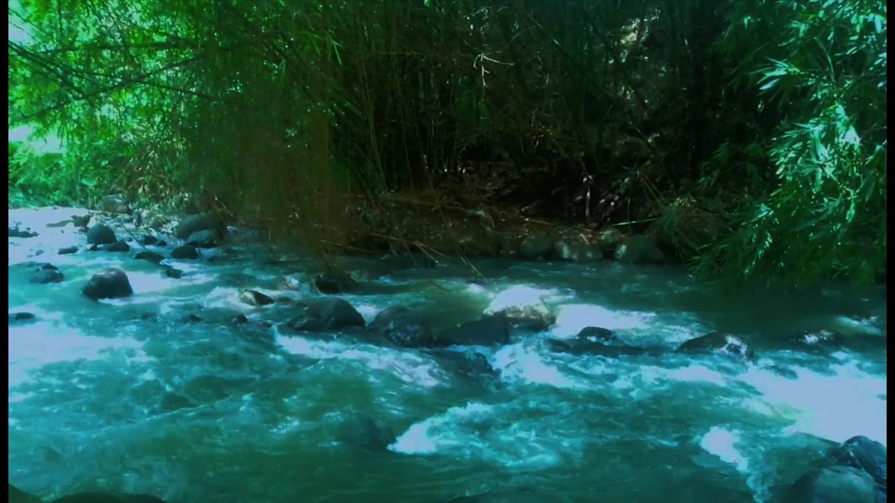 Relaxing River Sound emotional therapy to relieve stress and mental disorders for sleeping.