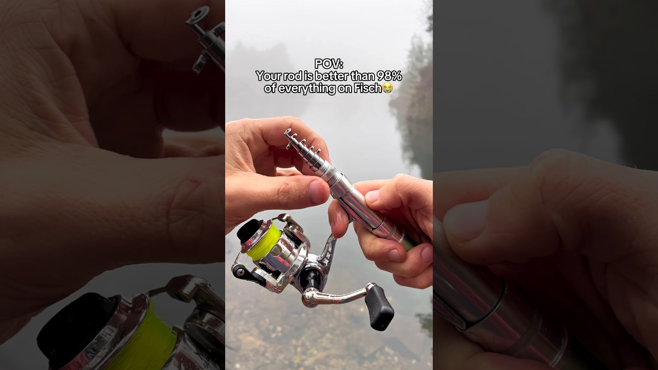 Fisch rods are nothing compared to this 😂 #fishing #fisch #fishingrod