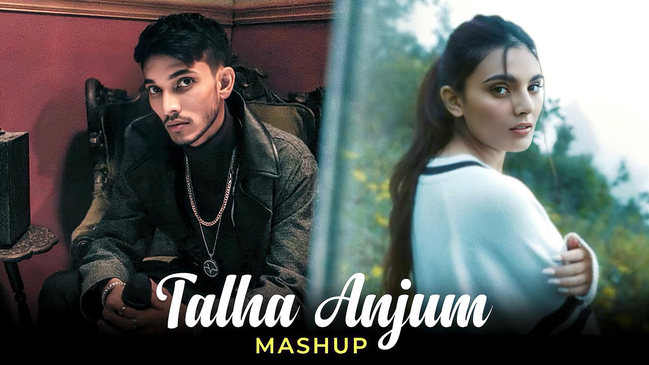 Talha Anjum Mashup 2025 | Downers At Dusk x Ehsaas | Faheem Abdullah | Chillout Vibes