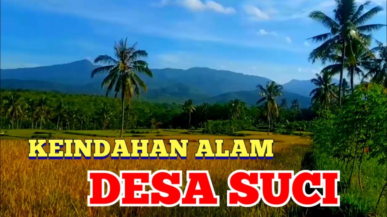 AKU YAKIN KALIAN PASTI BETAH LIHAT PEMANDANGAN ALAM INI !! SUCI PANTI JEMBER