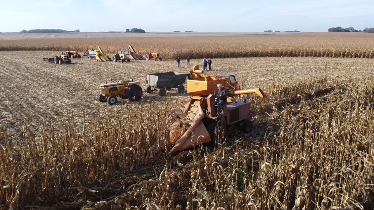 Minneapolis Moline Harvest Day