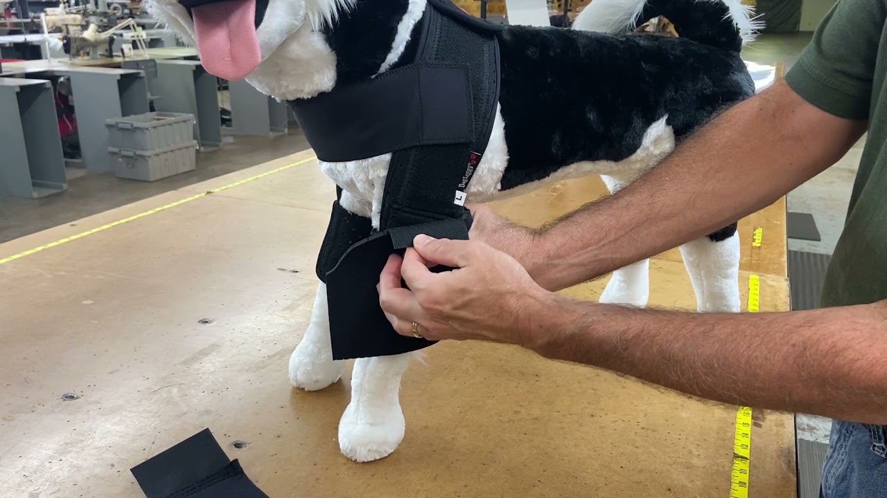DogLeggs - Elbow overlay