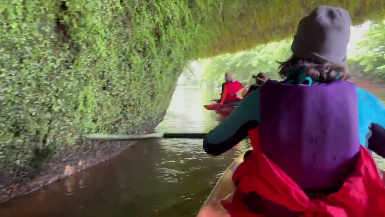 Au fil de l'eau en canoë sur la  Vézère après St Léon   HD 1080p