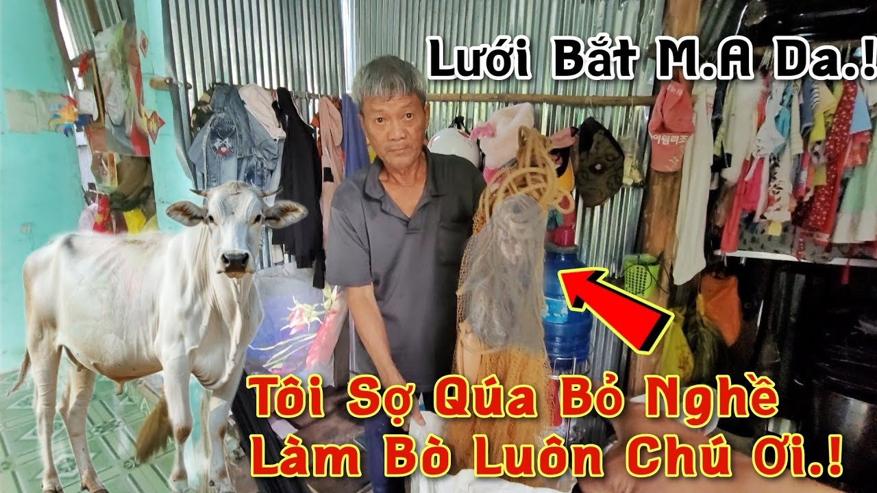 Kinh Hãi Người Đàn Ông Bỏ Nghề G.i.ế.t Bò Vì Lý Do Kinh Khủng Này, Nge Mà Nổi Hết Óc Cục Luôn