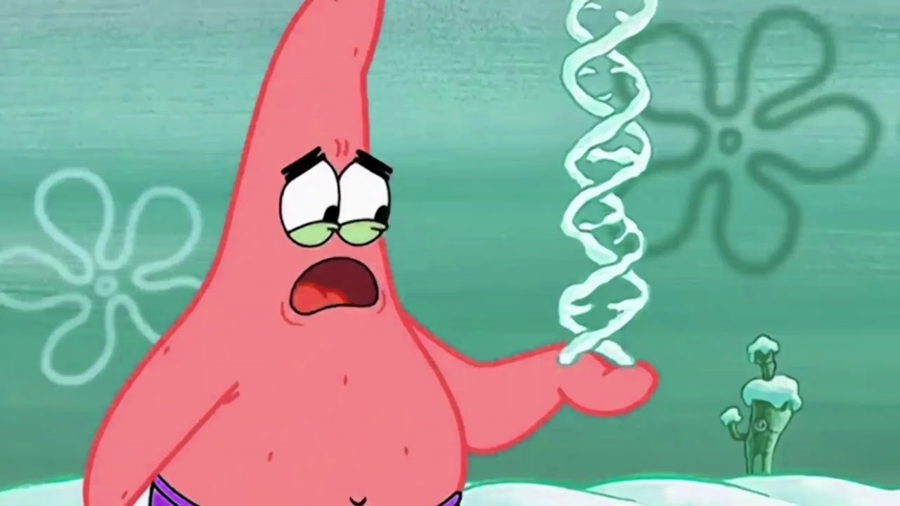 You Won’t Believe What Happens to Patrick’s Snowball 🤣 / JTS Animation 