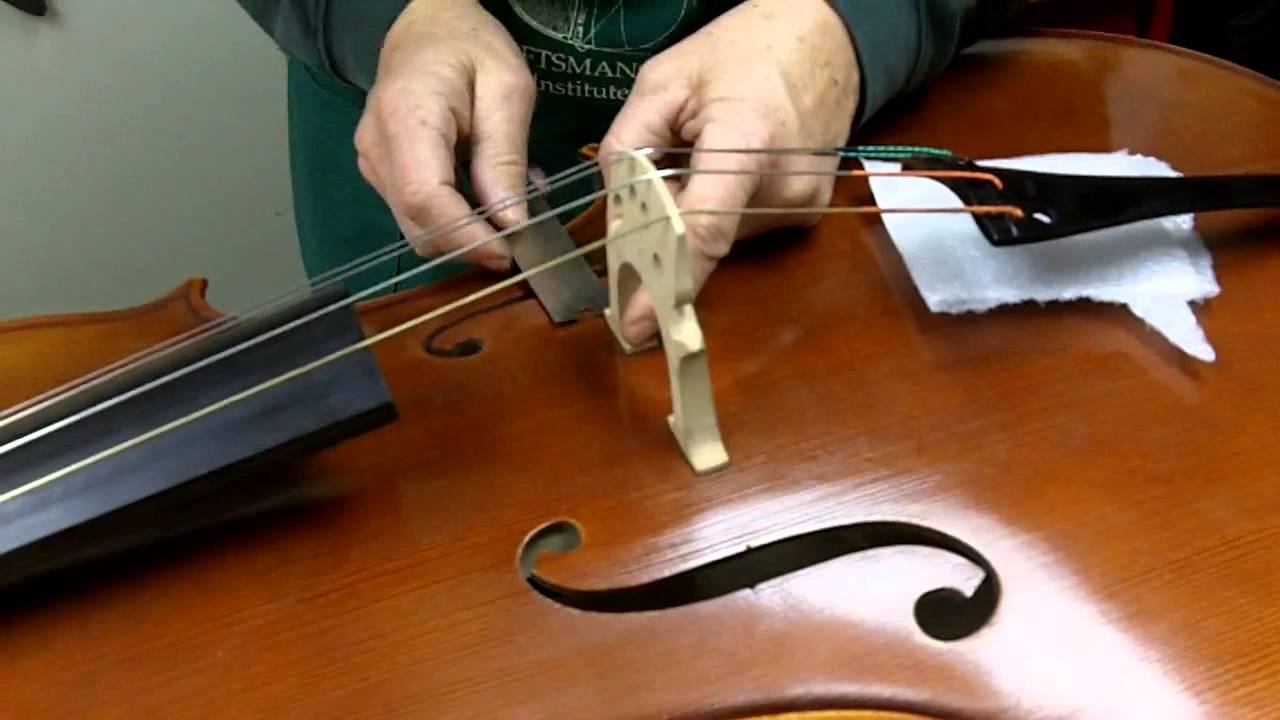 How to Set Up a Bridge on a Cello
