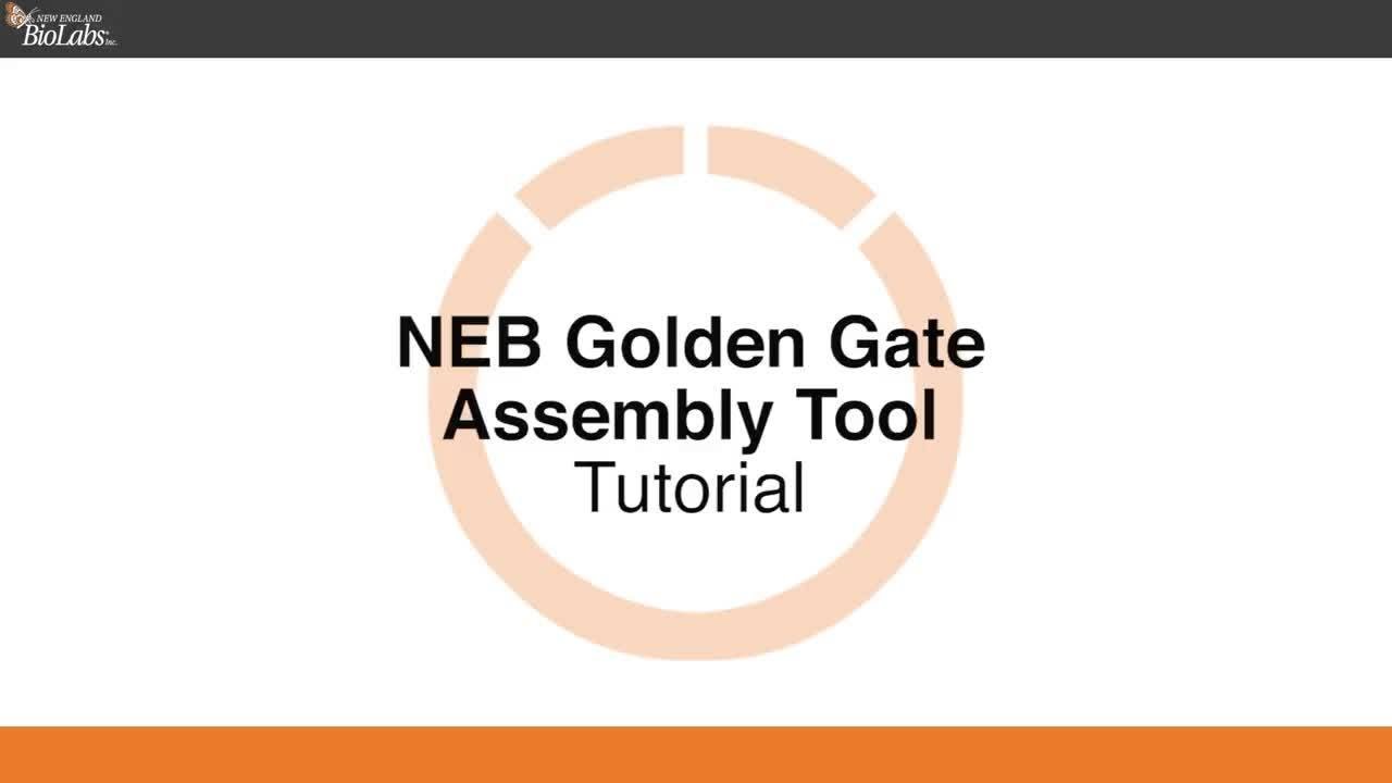 NEB Golden Gate Assembly Tool Tutorial