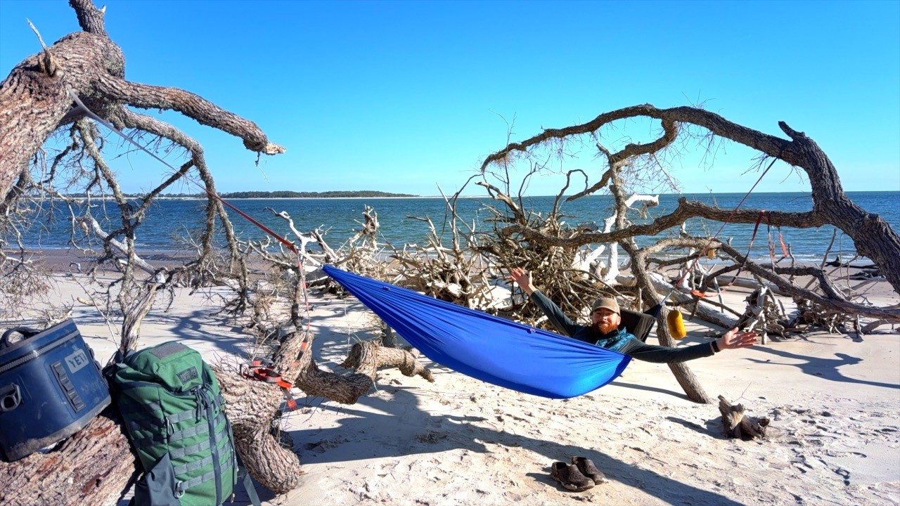 Overnight In Coastal Tree Graveyard
