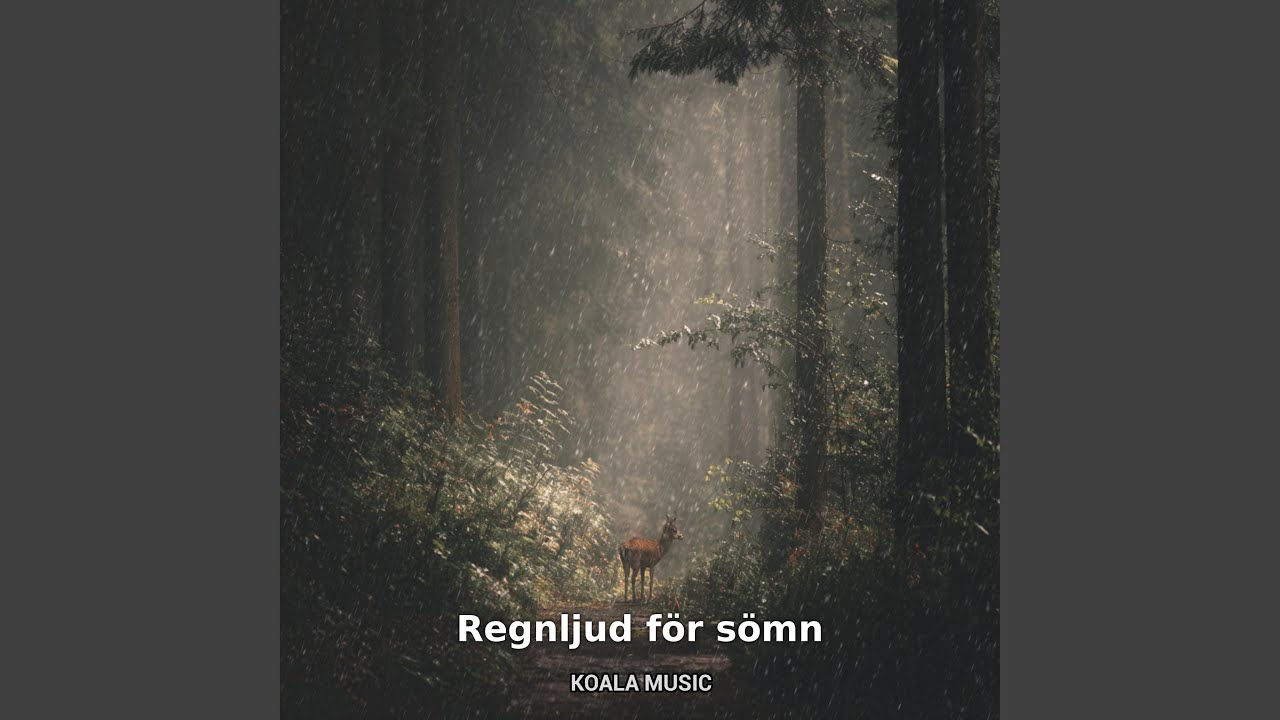 Regnljud för djup sömn och vila, Pt.3