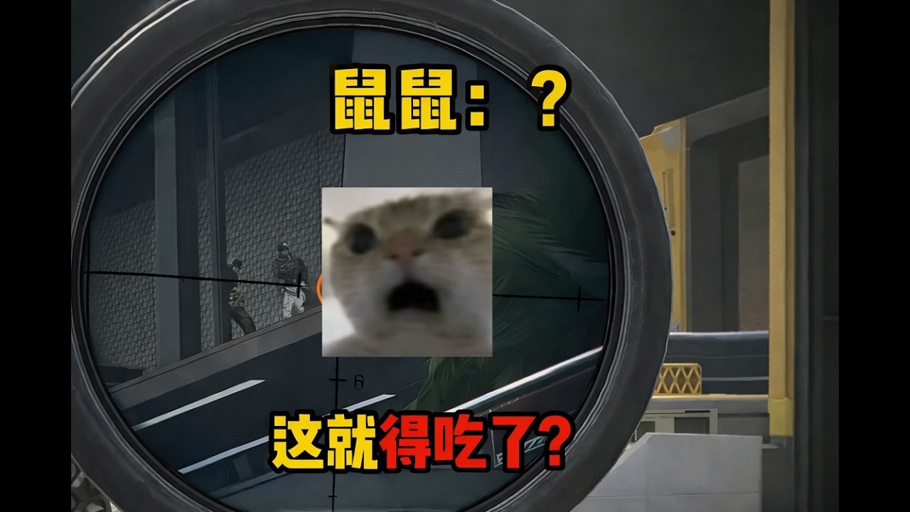 【三角洲行动】当萌新用六甲在绝航创业踩中满编土豆雷这件事 得吃的鼠吃吃土豆雷也是得吃