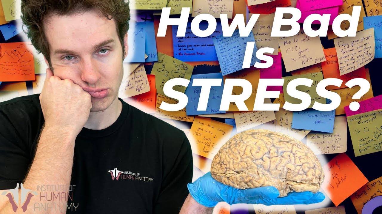 The Most Stressful Thing the Body Can Experience