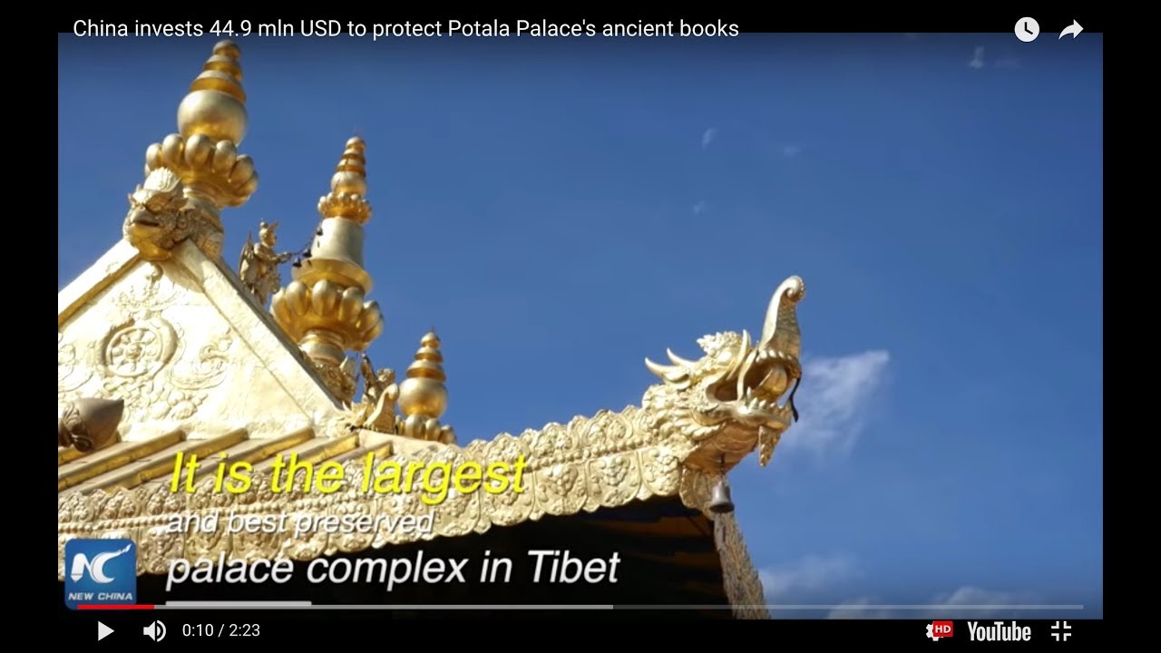 China invests 44.9 mln USD to protect Potala Palace's ancient books