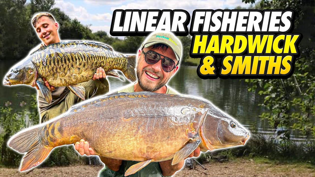 Linear Fisheries Hardwick & Smiths Carp Fishing Summer Vlog 2022