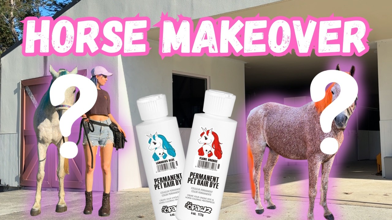 Guys I did a thing… Opawz reveal horse grooming glow up