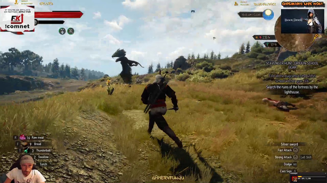 Witcher 3-Hard mode-First Basilisk fight
