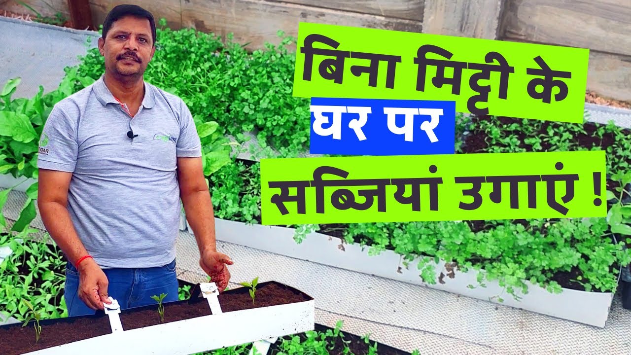 Grow vegetables at home without soil |  बिना मिट्टी के घर पर सब्जियां उगाएं