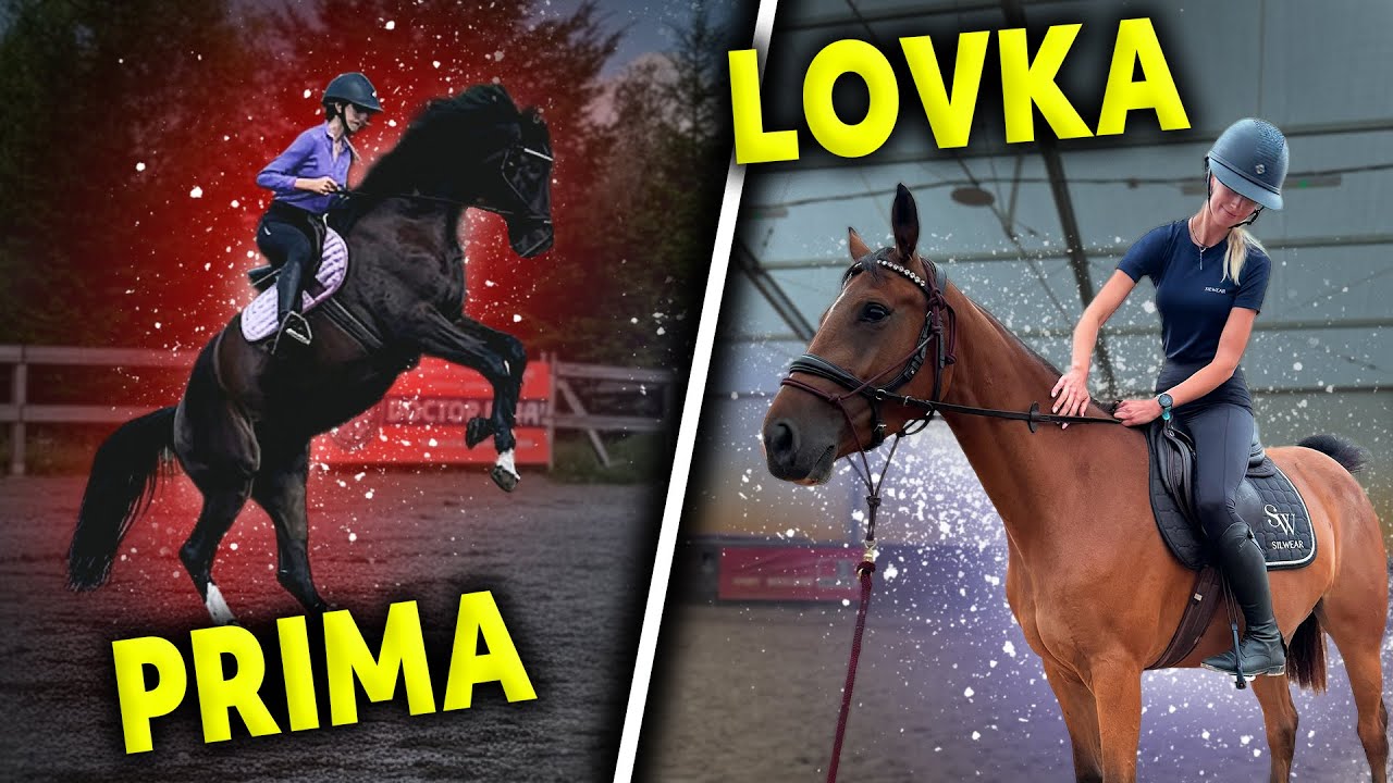 KASIA JEŹDZI NA LOVCE, PRIMIE i DILI 🫣