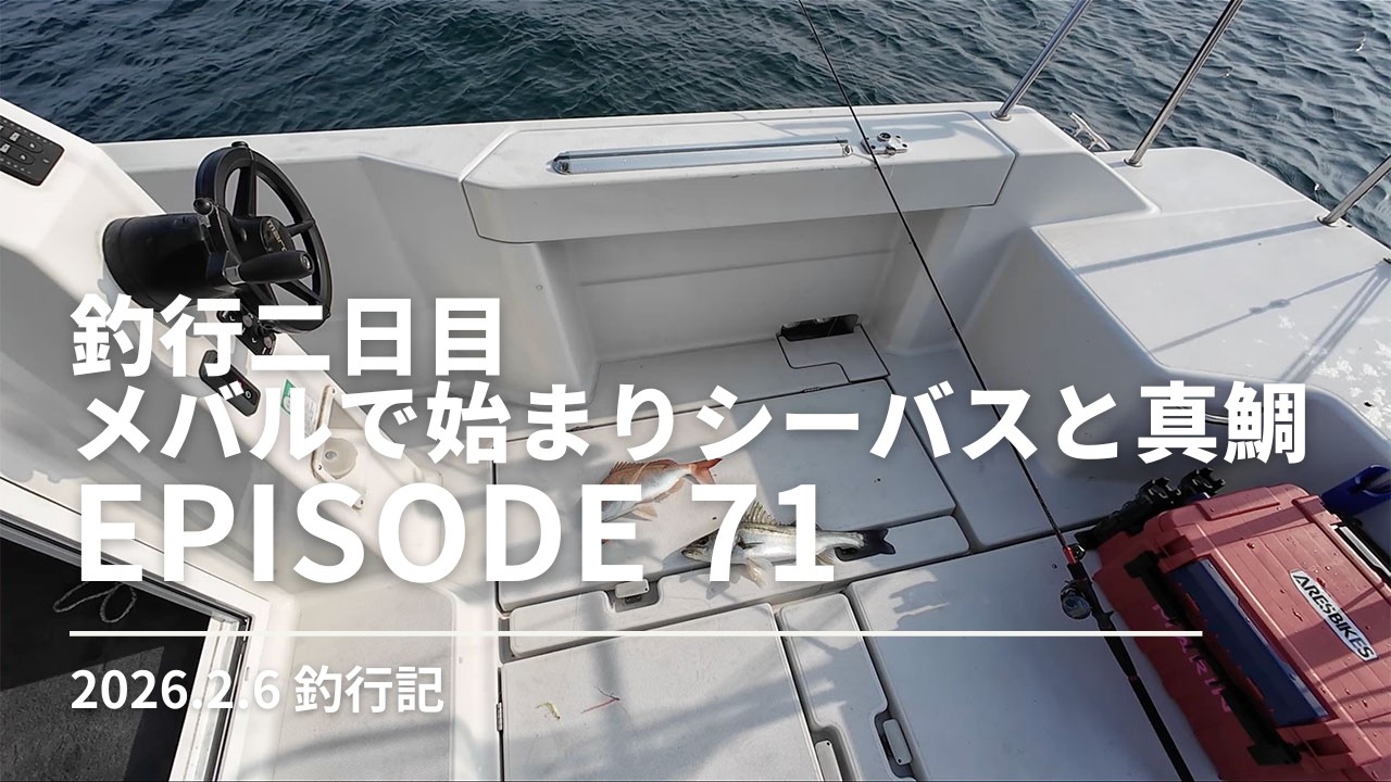 【釣行記】釣行二日目｜メバルで始まりシーバスと真鯛で楽しめた｜２０２６年２月６日の釣行記｜Episode 71