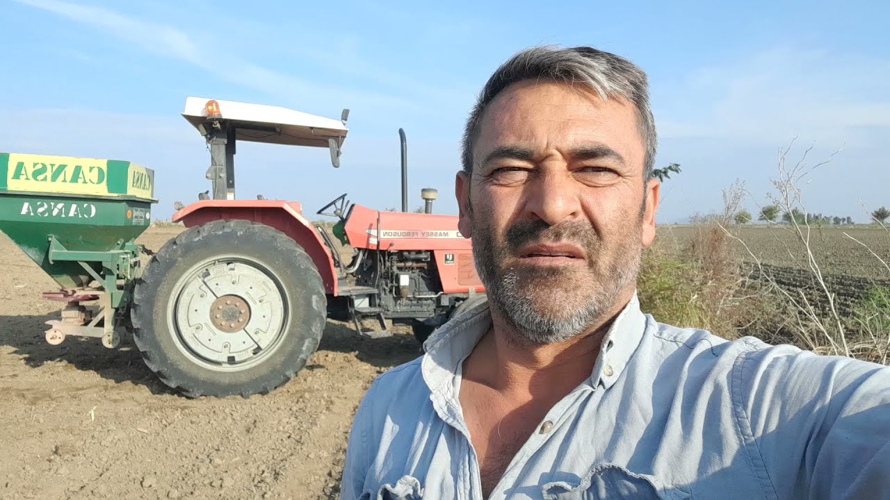 Buğday ekimi
