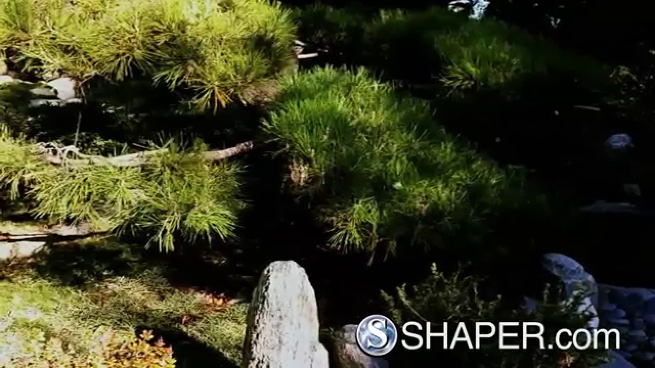 SRF Yogananda&rsquo;s Mother Center nature path Guided Meditation Video