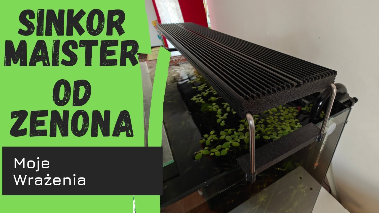Sinkor Maister 60 WRGB od Zenona - Moje wrażenia