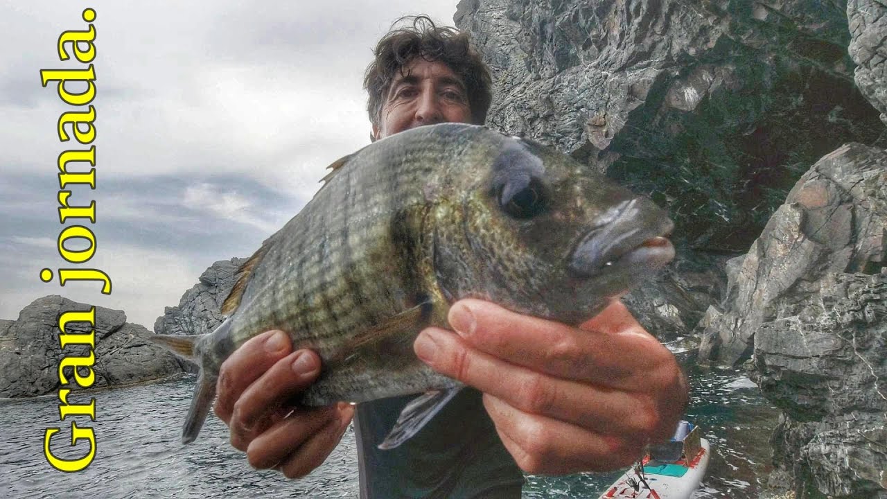 Gran jornada de pesca.