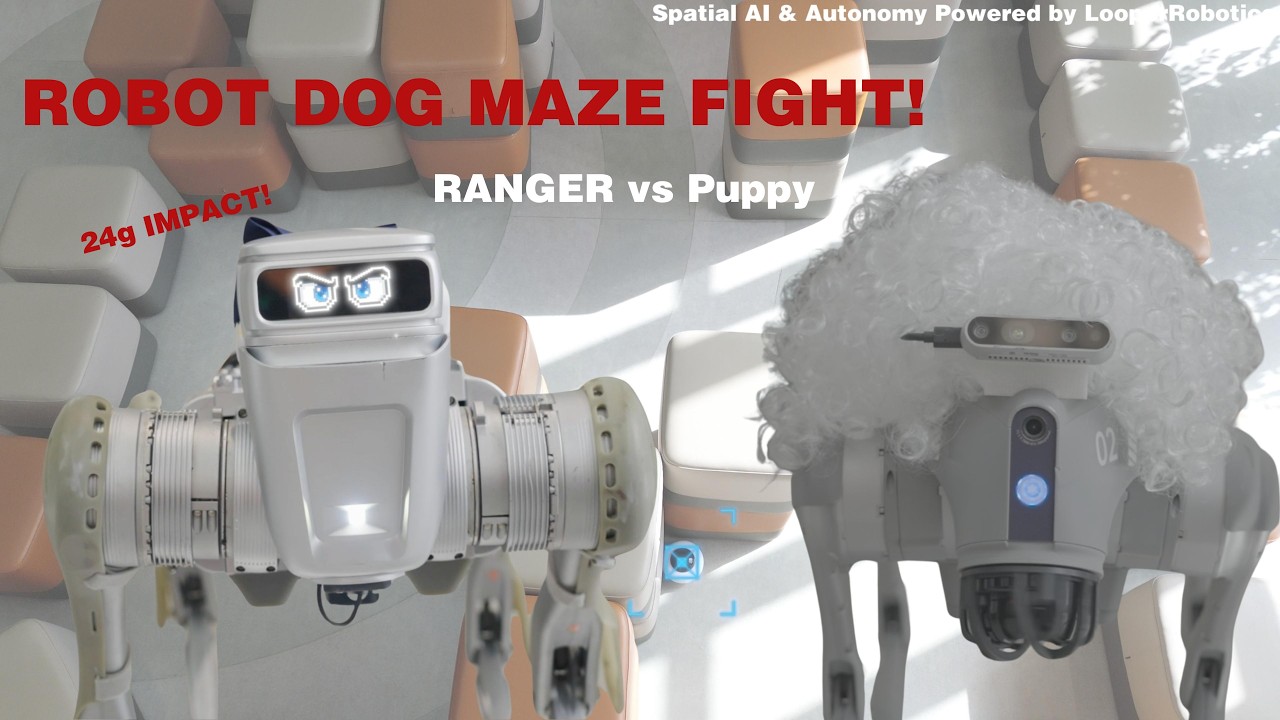 Robot Dog Maze Race: The Ending is PERSONAL 💀 (Ranger vs Puppy)
