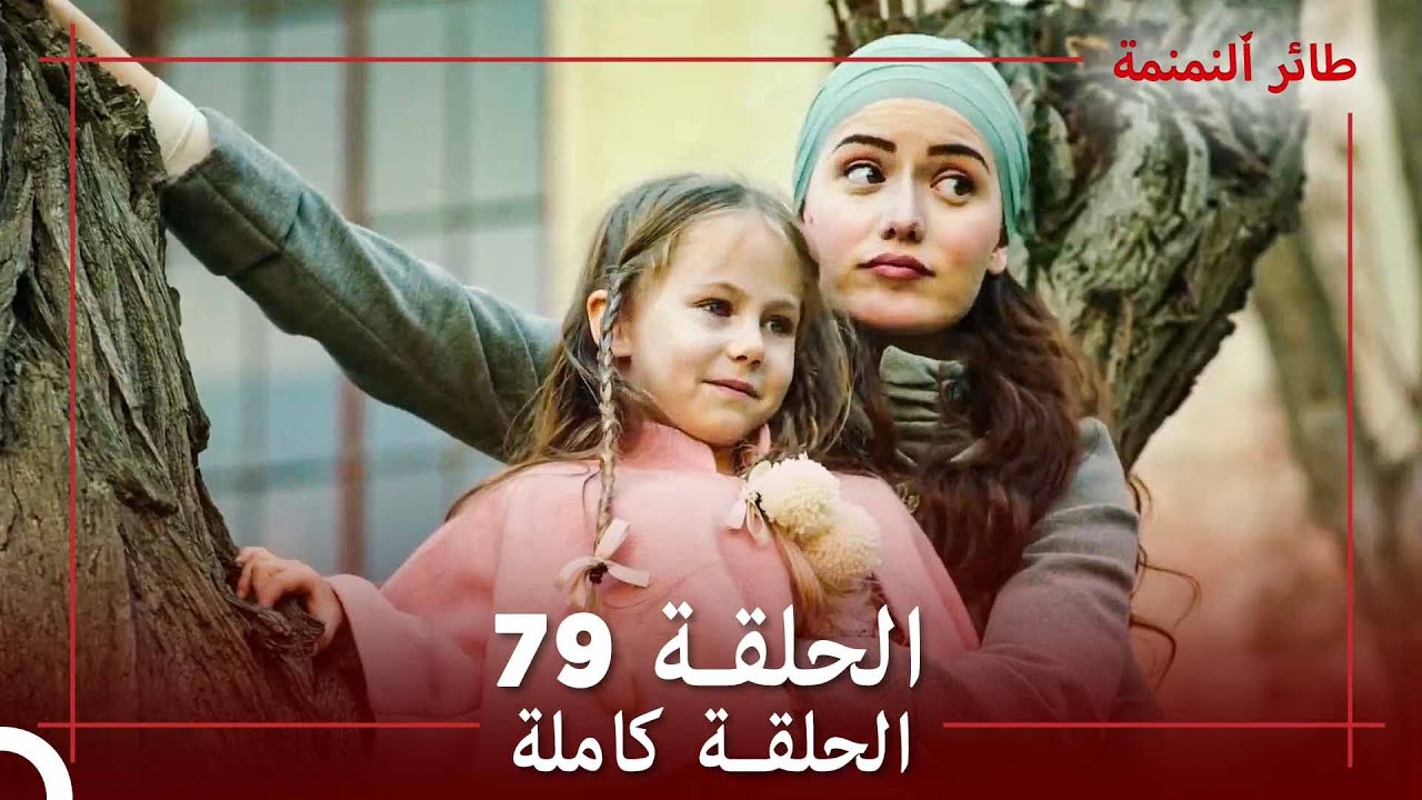 الحلقة  79 - طائر النمنمة