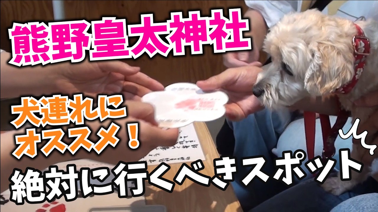 【犬と神社参拝】パワースポット熊野皇太神社で肉球手形！ #長野県 #軽井沢町 #熊野皇太神社 #犬と神社参拝 #肉球手形