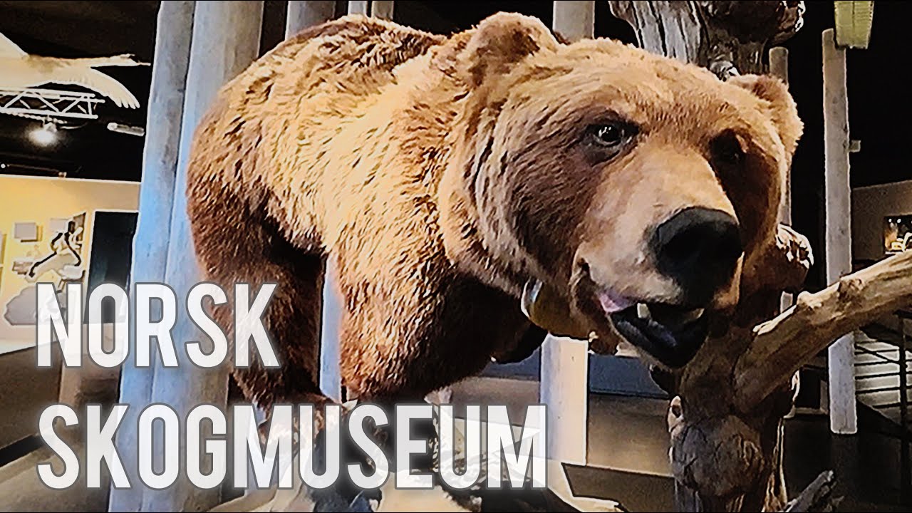 Vacation in Norway EP.07 : Norsk Skogmuseum i Elverum (The Norwegian Forest Museum)