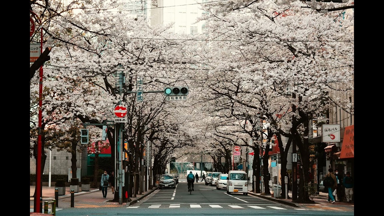 [FREE FOR PROFIT] Japanese Midwest Emo + Emo Rock type beat "Murakami"