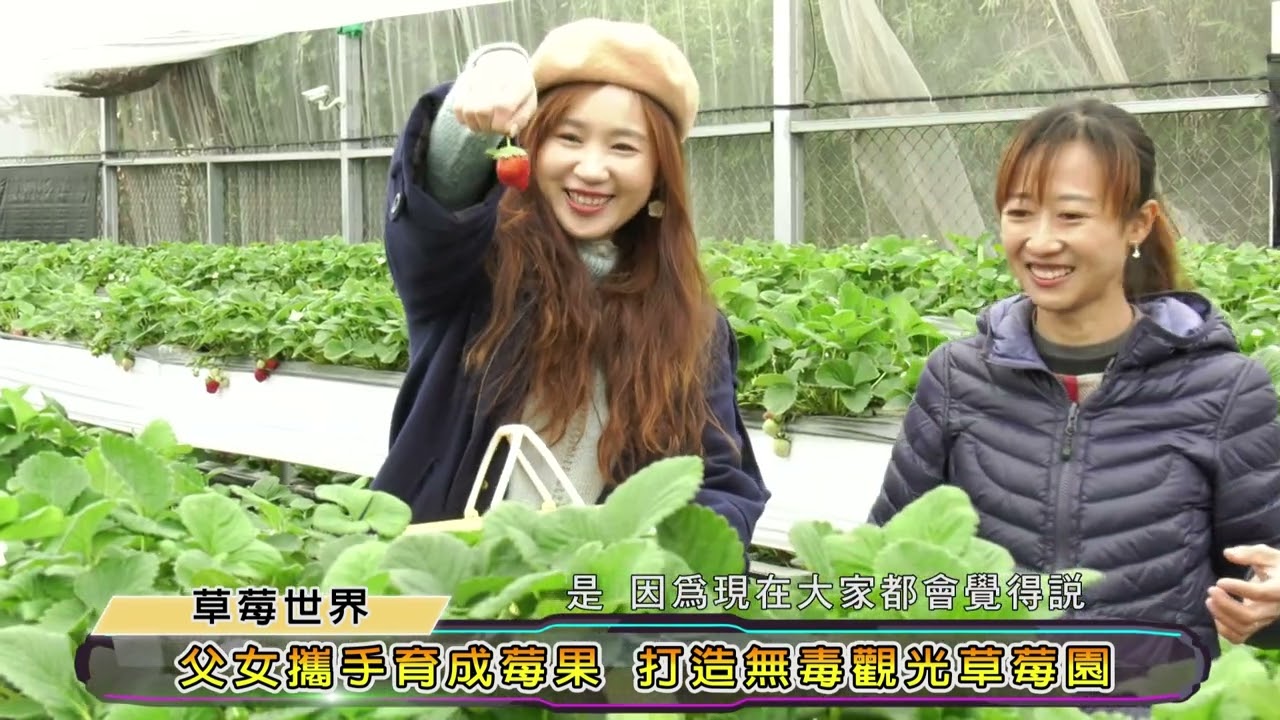 第 二十二集 台中亮起來潭子草莓世界