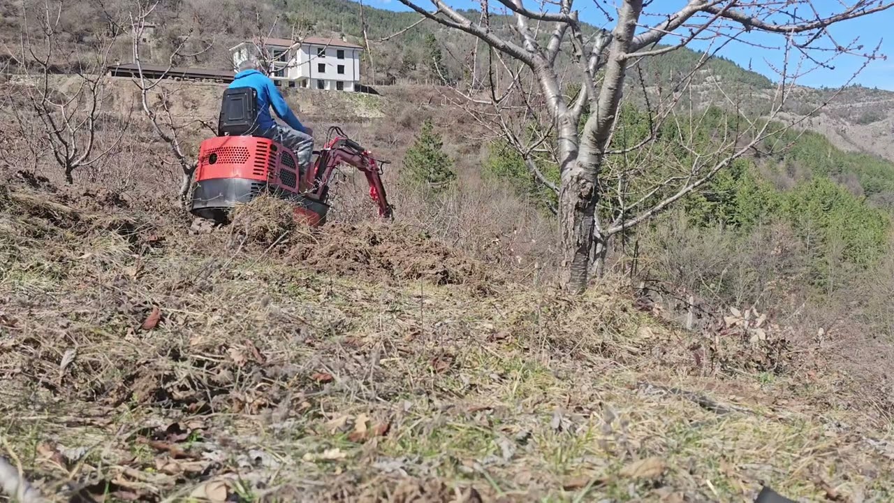 16 март 2025 г.