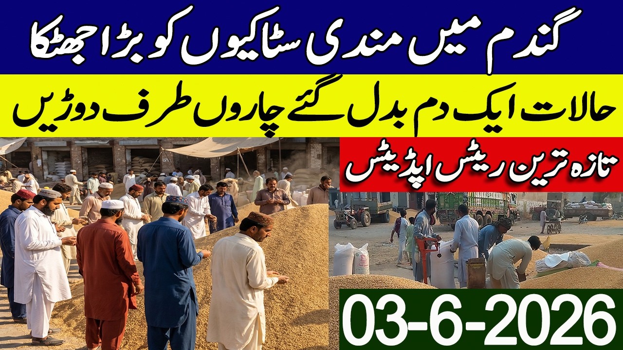 New Gandum Rates Today 2026 || New Wheat Price Today || Gundam kay Rates Today 2026