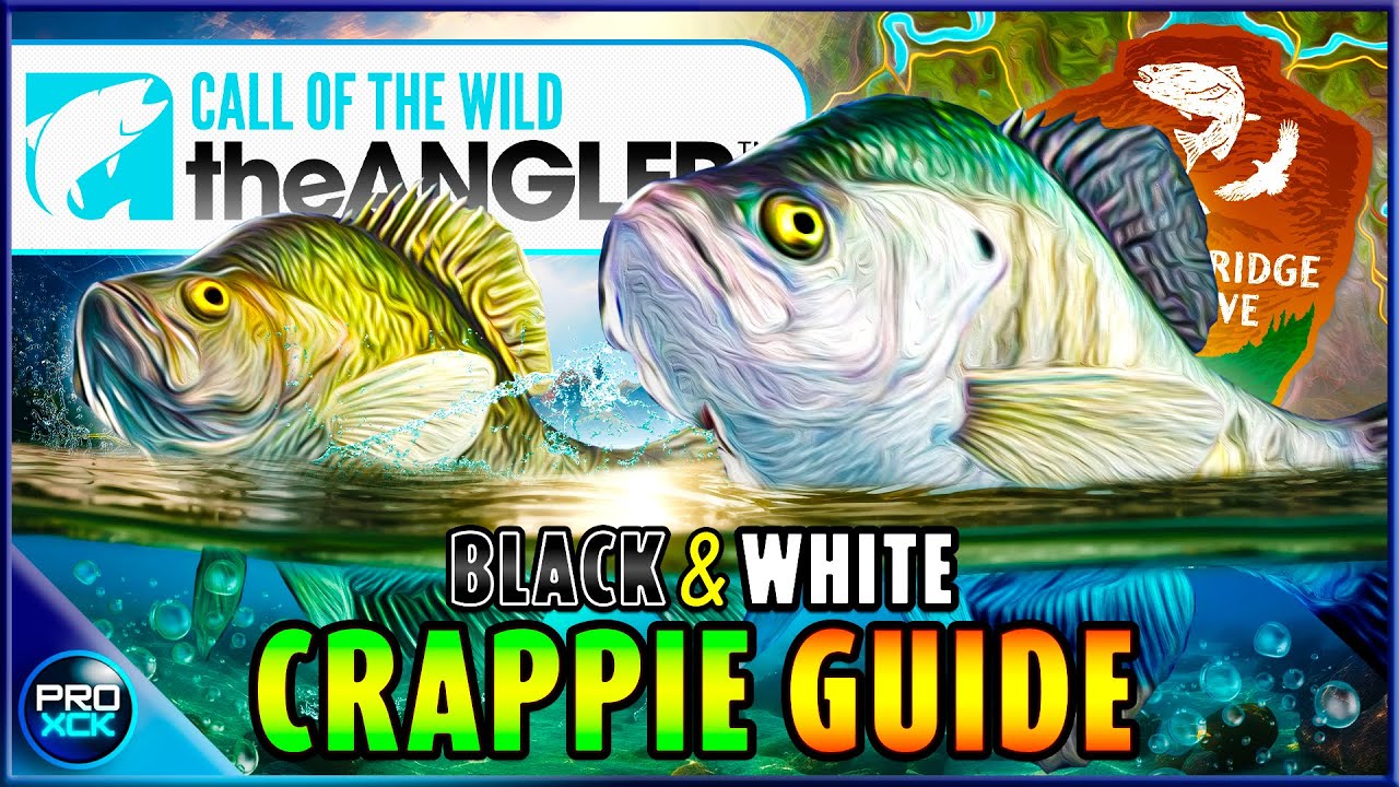 Crappie DIAMOND Guide! | How to Catch Diamond Crappie! - Call of the Wild the Angler