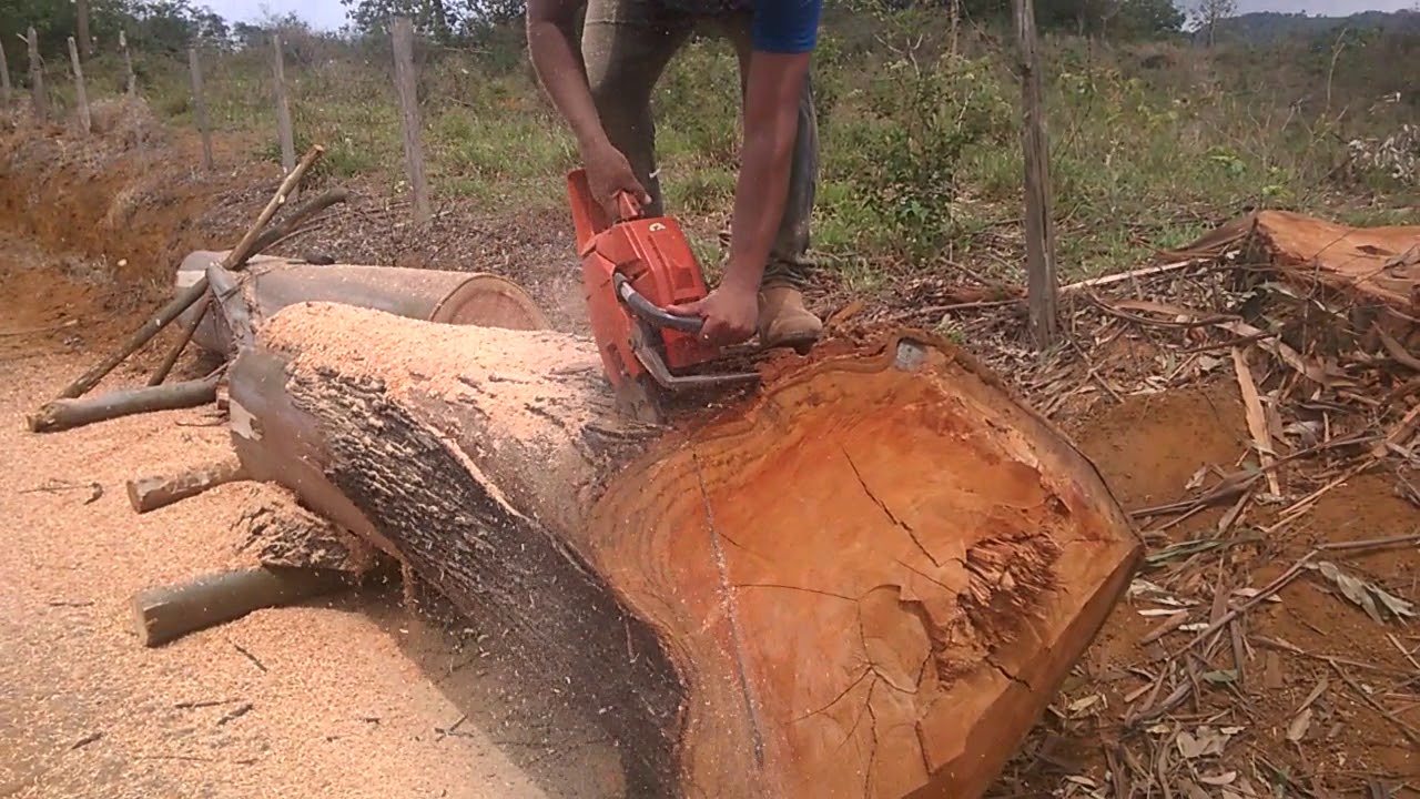 husqvarna 288xp extreme force