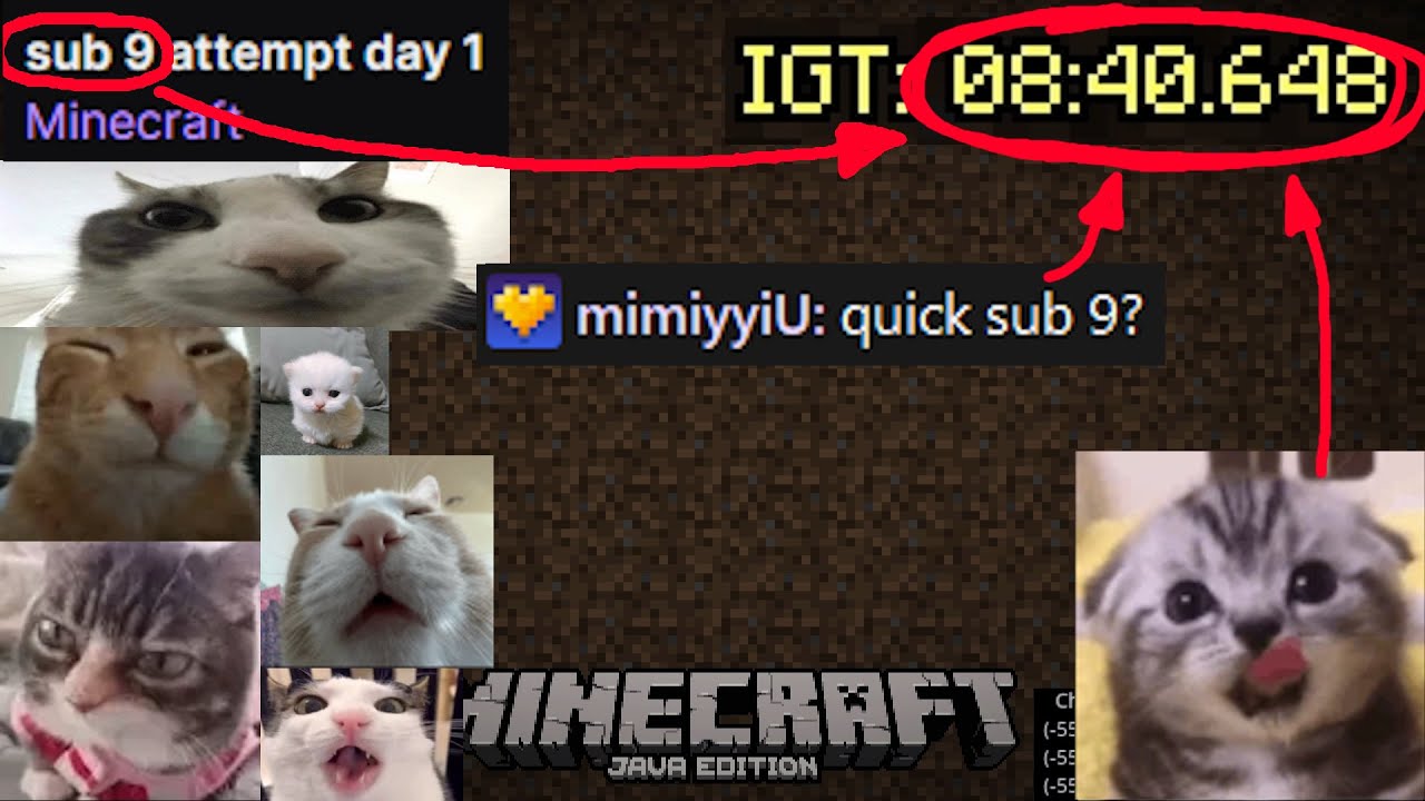 8:40 MINECRAFT SPEEDRUN