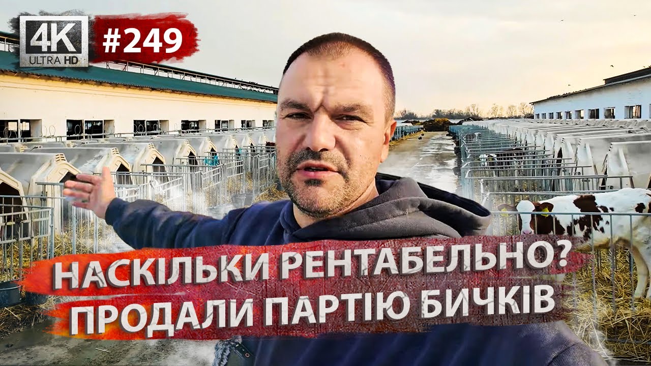 Рентабельність ферми💸Підготовка до корів🐮Плани на майбутнє