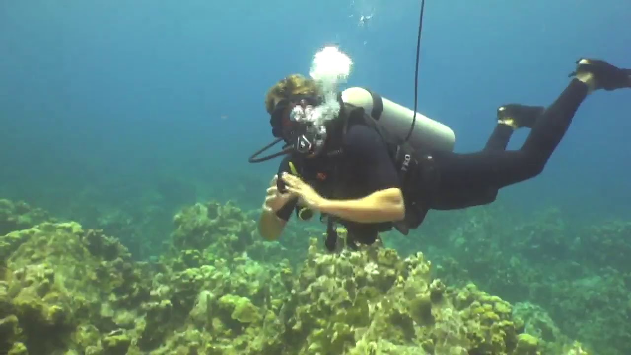 diveLIVE - Second Dive - July 5th 2018