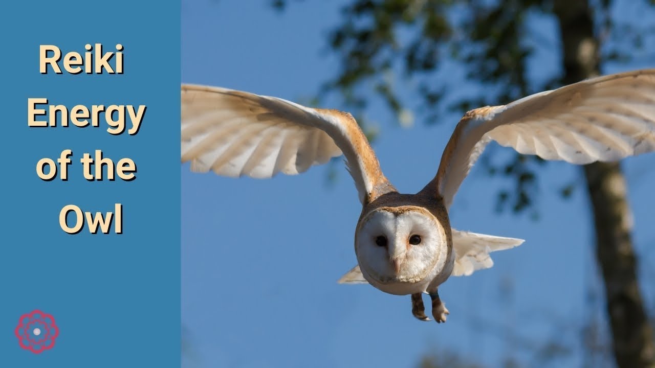 Reiki with the Energy of the Owl 💮