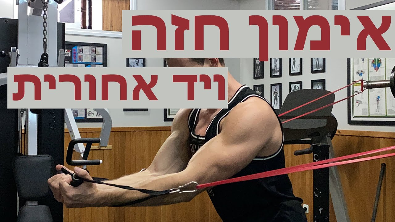 אימון חזה ויד אחורית || 5 תרגילים