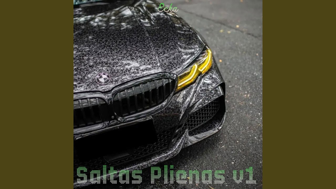 Saltas Plienas v1