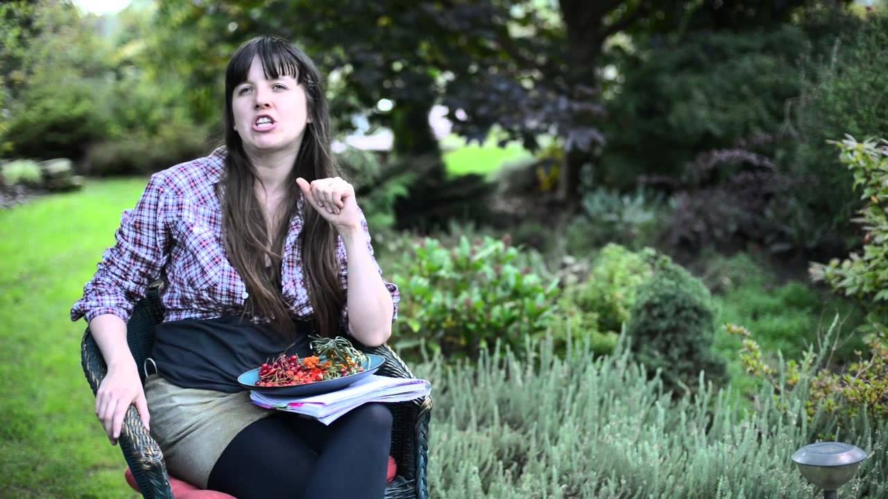 Rokitnik: wszystko na temat rokitnika (cz1)