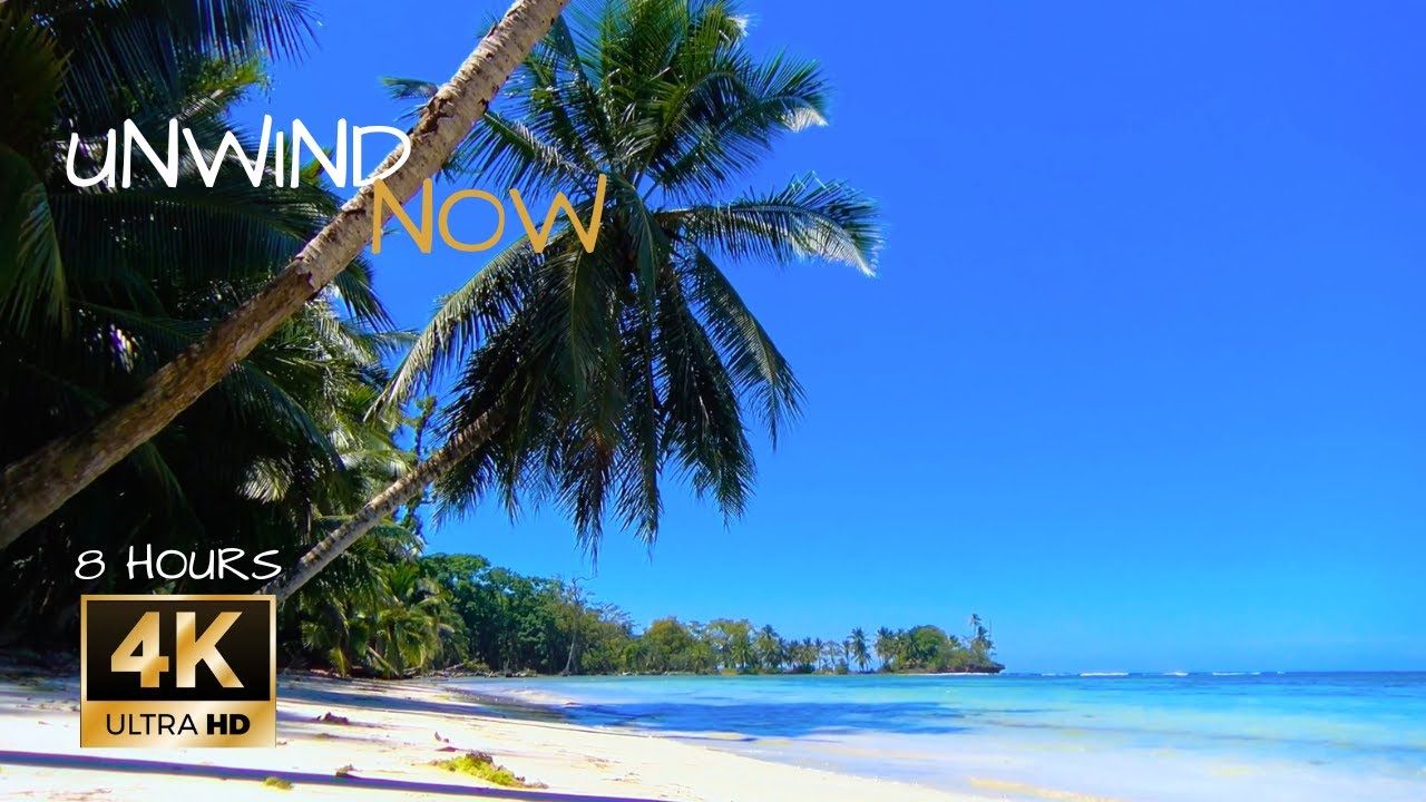 Wanna relax?😎 Tropical Beach🏝 Ambience Soothing Ocean Waves🌊Palm Trees🌴|Sleep😴Relax Meditate🧘8 Hours