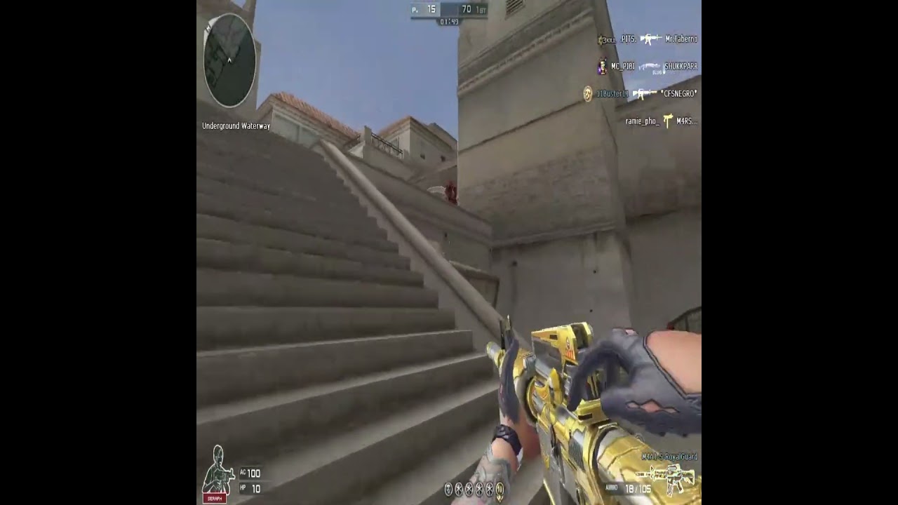 The M4A1-royalguard