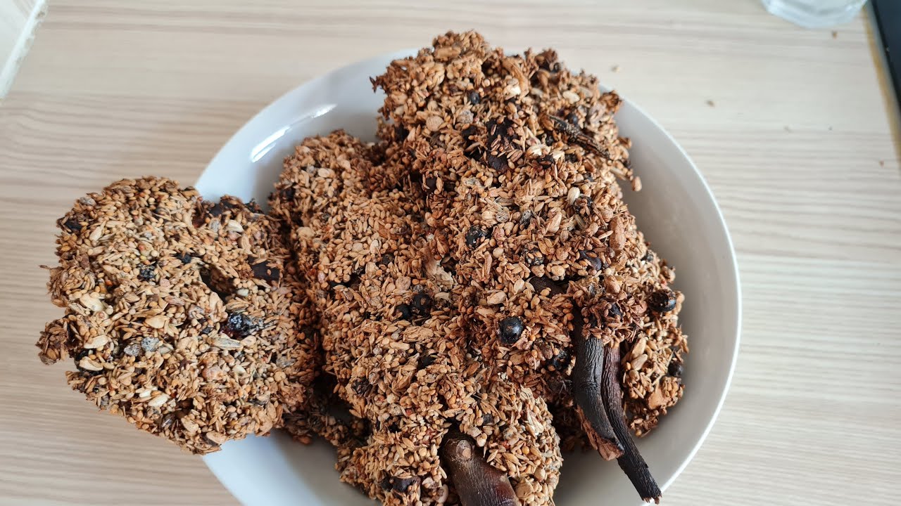 Vogelkekse backen, Kräcker für Vögel?