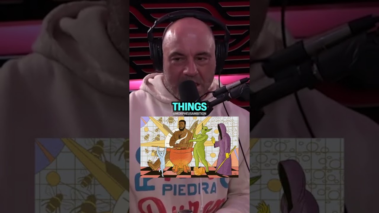Joe Rogan explains DMT Elves