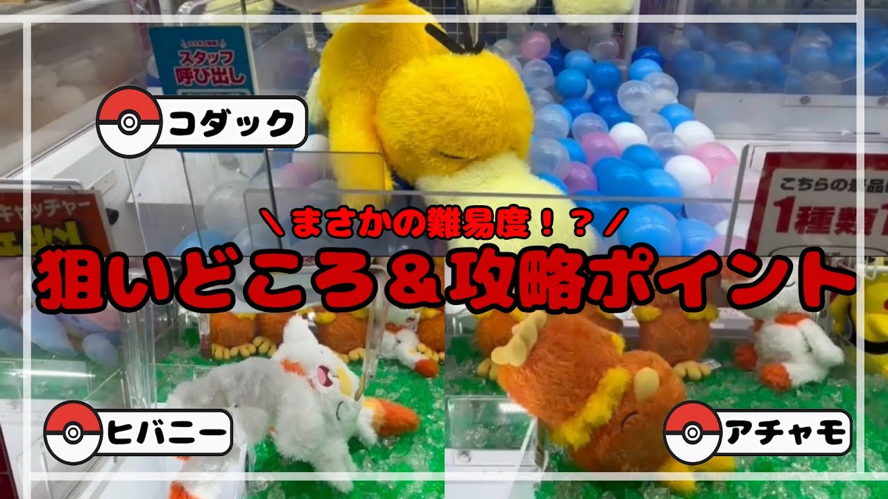 【まさかの難易度！？】コダック・ヒバニー・アチャモをGET！！　#ポケットモンスター #ポケモン #pokemon #ぬいぐるみ #クレーンゲーム