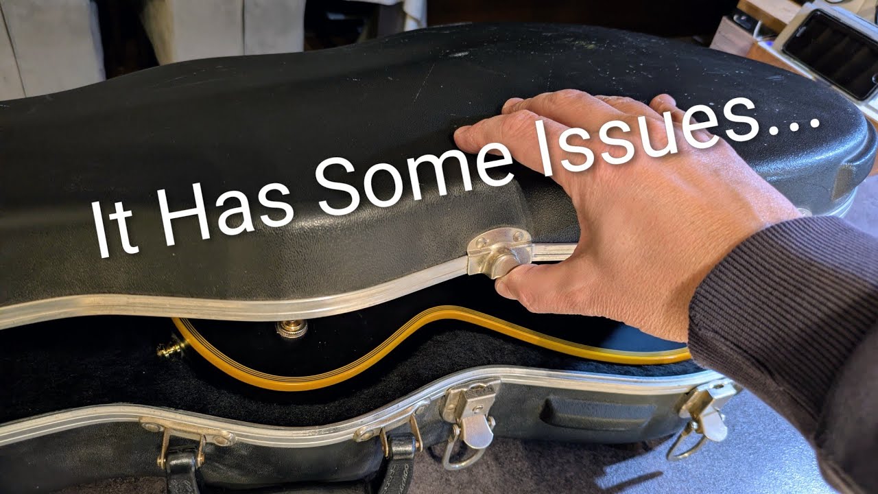 I Just Bought My DREAM GUITAR, But...