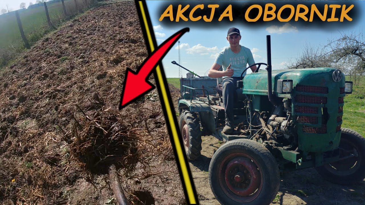 AKCJA OBORNIK ESIOK'IEM 🔥 JAKIE ZMIANY W HODOWLI?